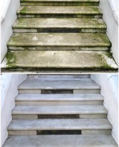 Marble Shine Ltd